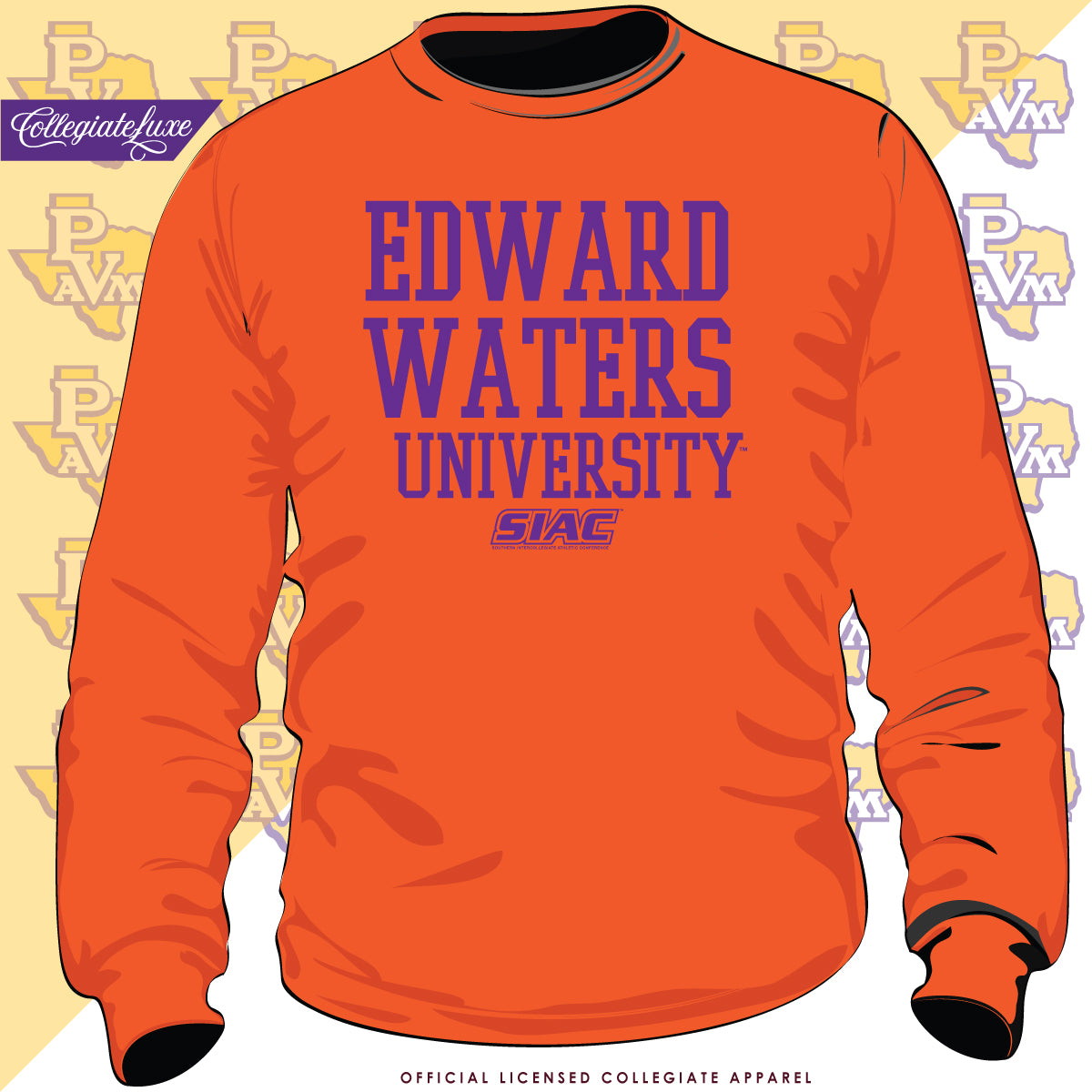 Edward Waters U – collegiateluxe