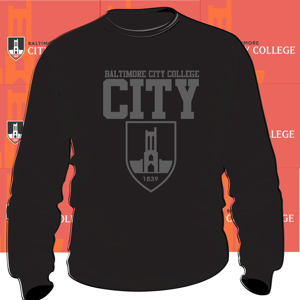 CITY-3D-PUFF-Sweatshirt_1024x.