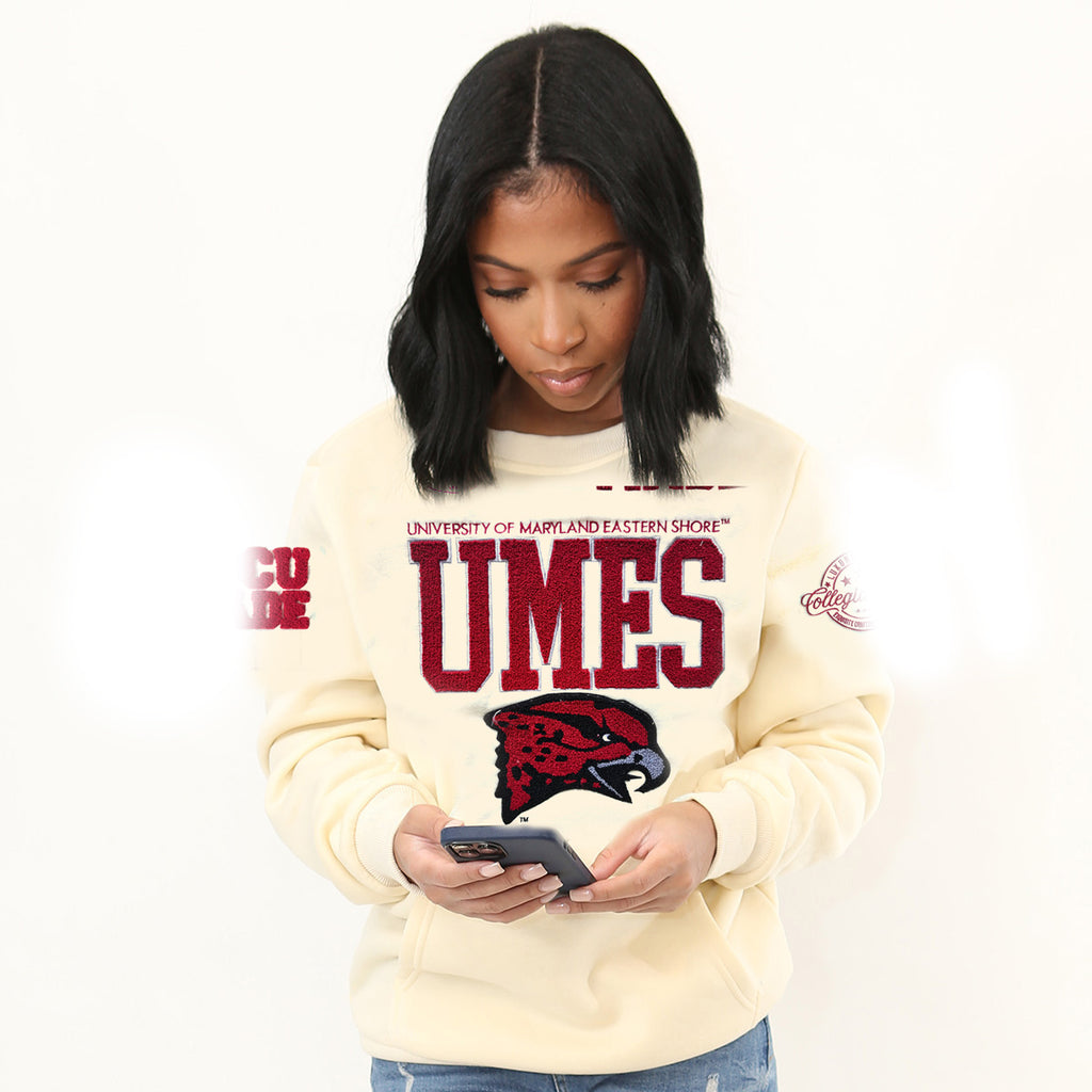 トップス AMERI MARROW EMBELLISH SWEAT TOP Maryland Eastern Shore | UMES VARSITY SWEATSHIRTS Chenille