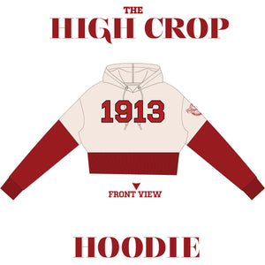 DELTA | Sigma Theta 1913 Crimson & Cream Crop Chenille Hoodie Top (
