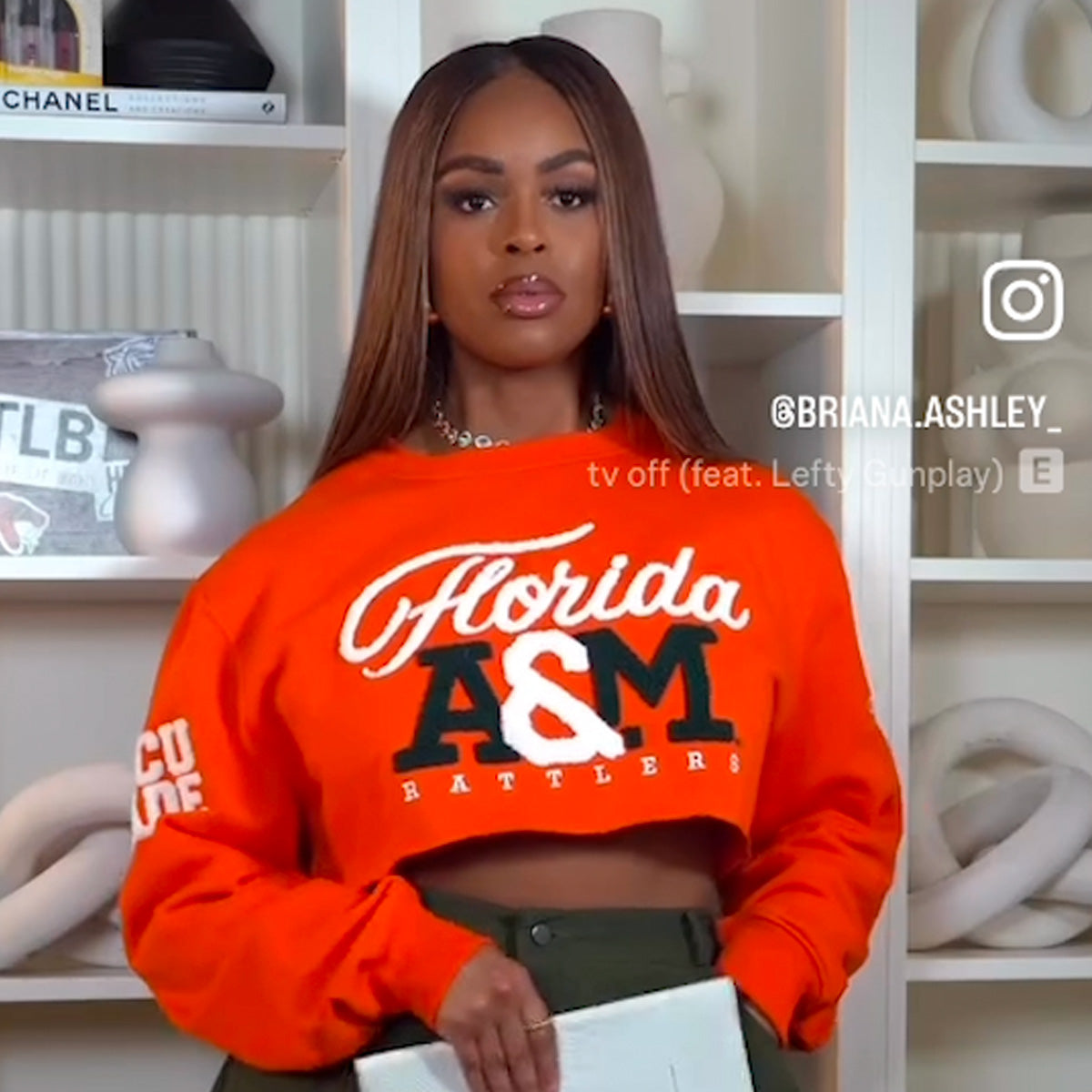 FAMU | ORANGE Chenille Crop SWEATSHIRT (a** – collegiateluxe