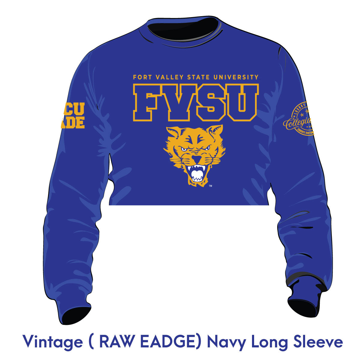 Fort Valley State collegiateluxe