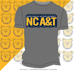 NC A&T SU | 90's STUDENT Unisex Tees (**)