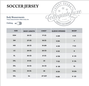 Pre Order ( Ship Sept 15)  ALCORN STATE | Soccer Jersey  (a**