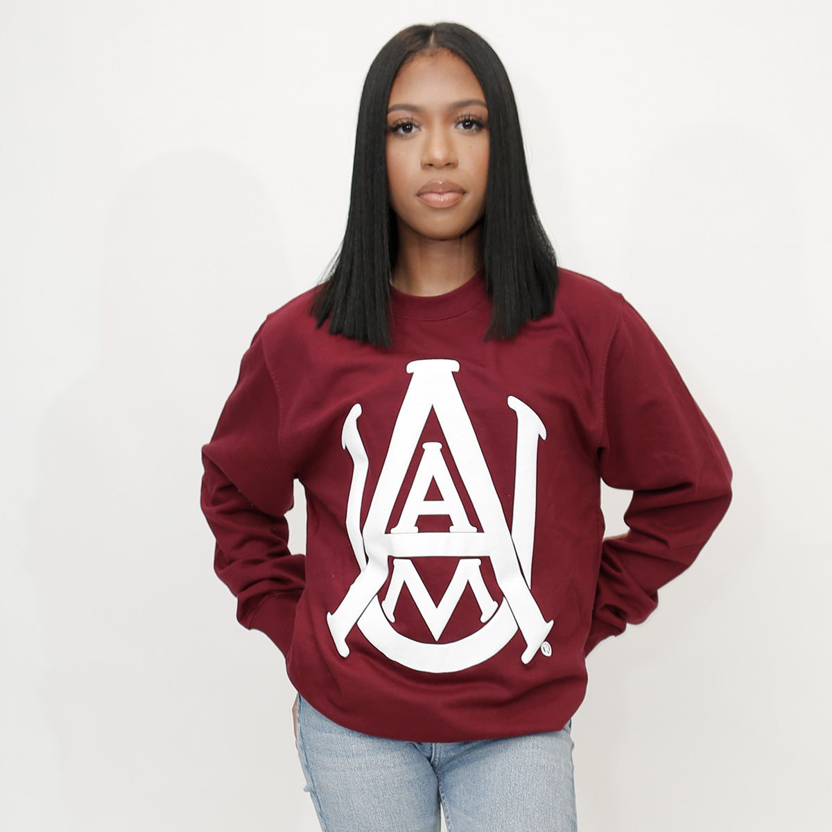 Alabama A&M | Celebrate BHM | 3D PUFF Ink Unisex Maroon Sweatshirt (N)