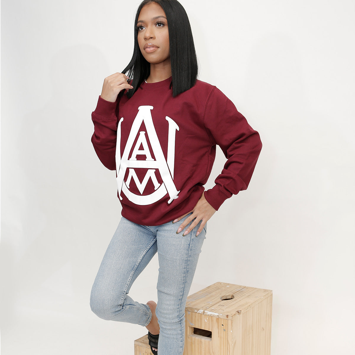 Alabama A&M | Celebrate BHM | 3D PUFF Ink Unisex Maroon Sweatshirt (N)