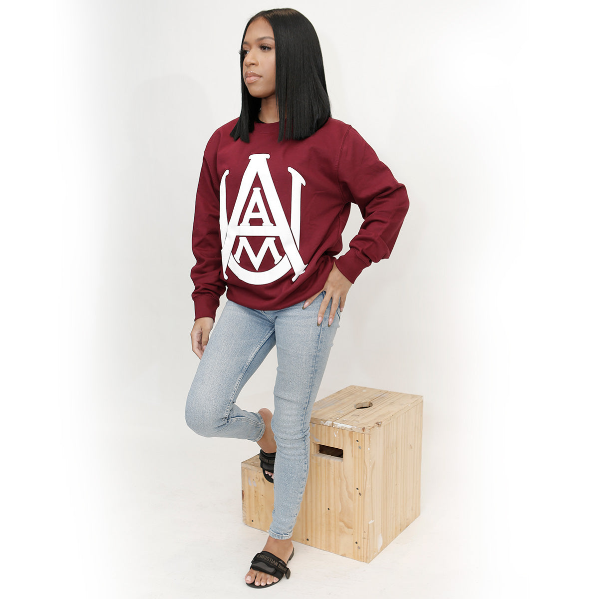 Alabama A&M | Celebrate BHM | 3D PUFF Ink Unisex Maroon Sweatshirt (N)