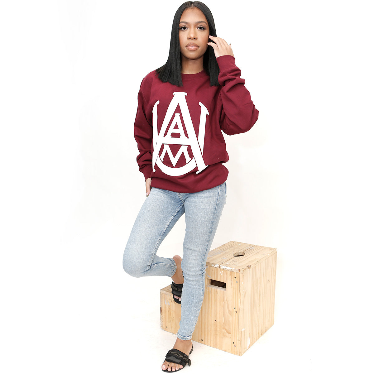 Alabama A&M | Celebrate BHM | 3D PUFF Ink Unisex Maroon Sweatshirt (N)