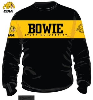 BOWIE ST | 2 TONE (Chenille & Embroidery) Unisex Sweatshirt