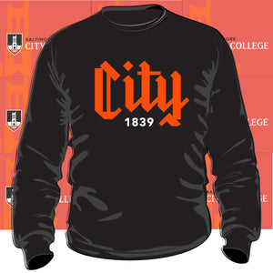 BALTIMORE CITY COLLEGE |  COLLEGE LOGO Unisex Sweatshirt -DK-