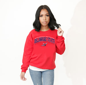Del State | EDUCATED Red Unisex Sweatshirt (aja)
