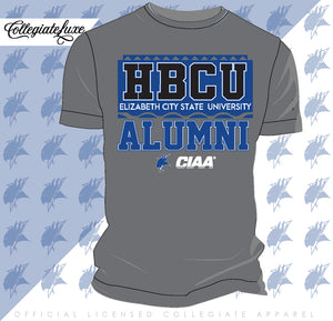 ECSU |  90's Alumni Gray Unisex Tees (DK)