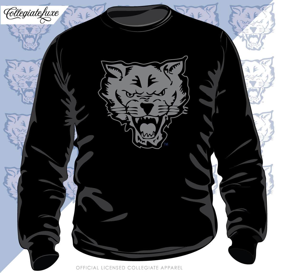 FVSU | Celebrate BHM | 3D Puff INK Black Sweatshirt (Z)