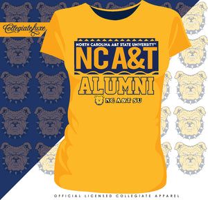 NC A&T SU | 90's Alumni Ladies Tees (**)