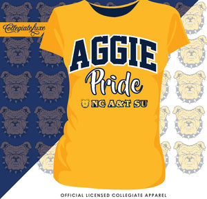 NC A&T SU | PRIDE ARCH Ladies Tees (**)