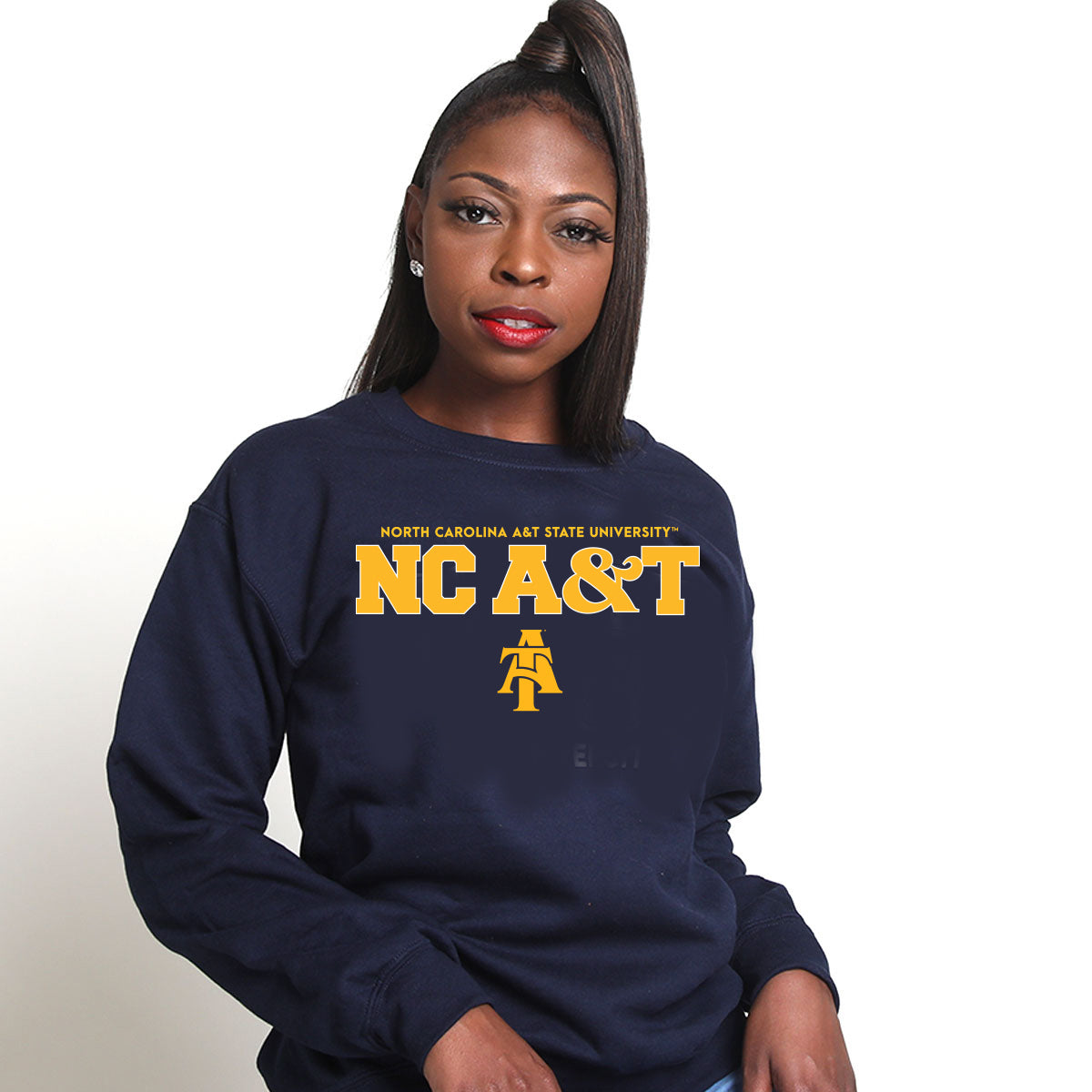 North Carolina A&T State University Aggies Script Fleece Hoodie Sweats North Carolina A&T State University Aggies Script Fleece Hoodie Sweats