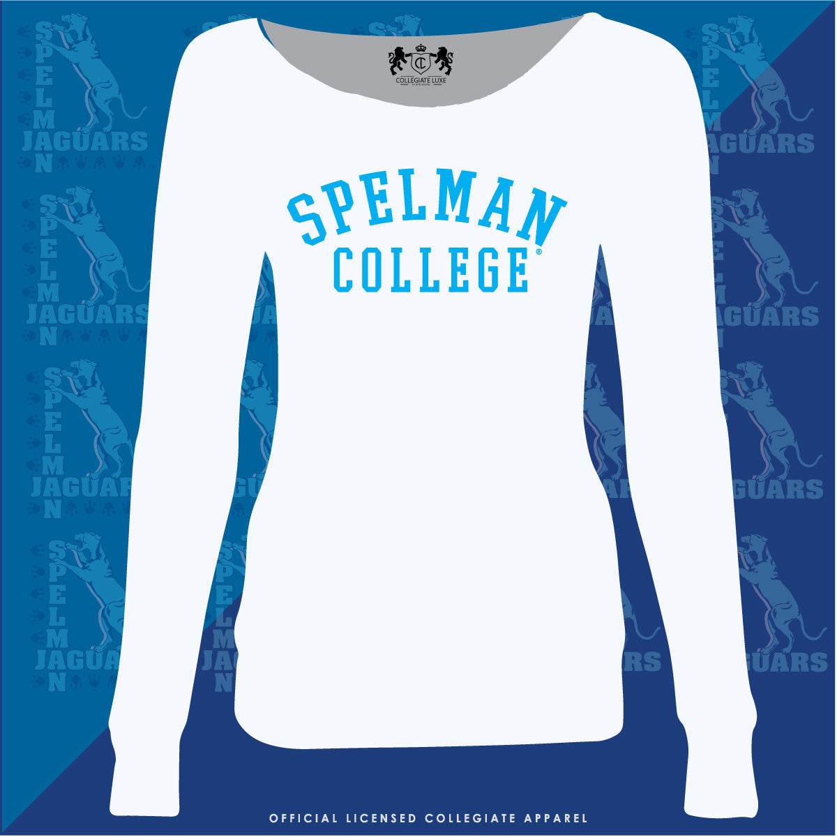 Spelman College Apparel Hoodie – My Greek Letters