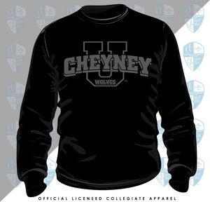 Cheyney University | Celebrate BHM 3D PUFF | Unisex Sweatshirts (Z)