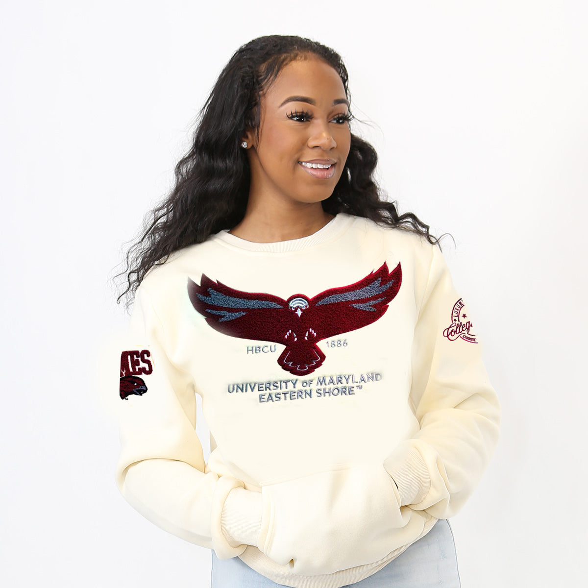 Maryland Eastern Shore |UMES | 2023 Winter CREAM Logo Chenille Unisex Sweatshirt