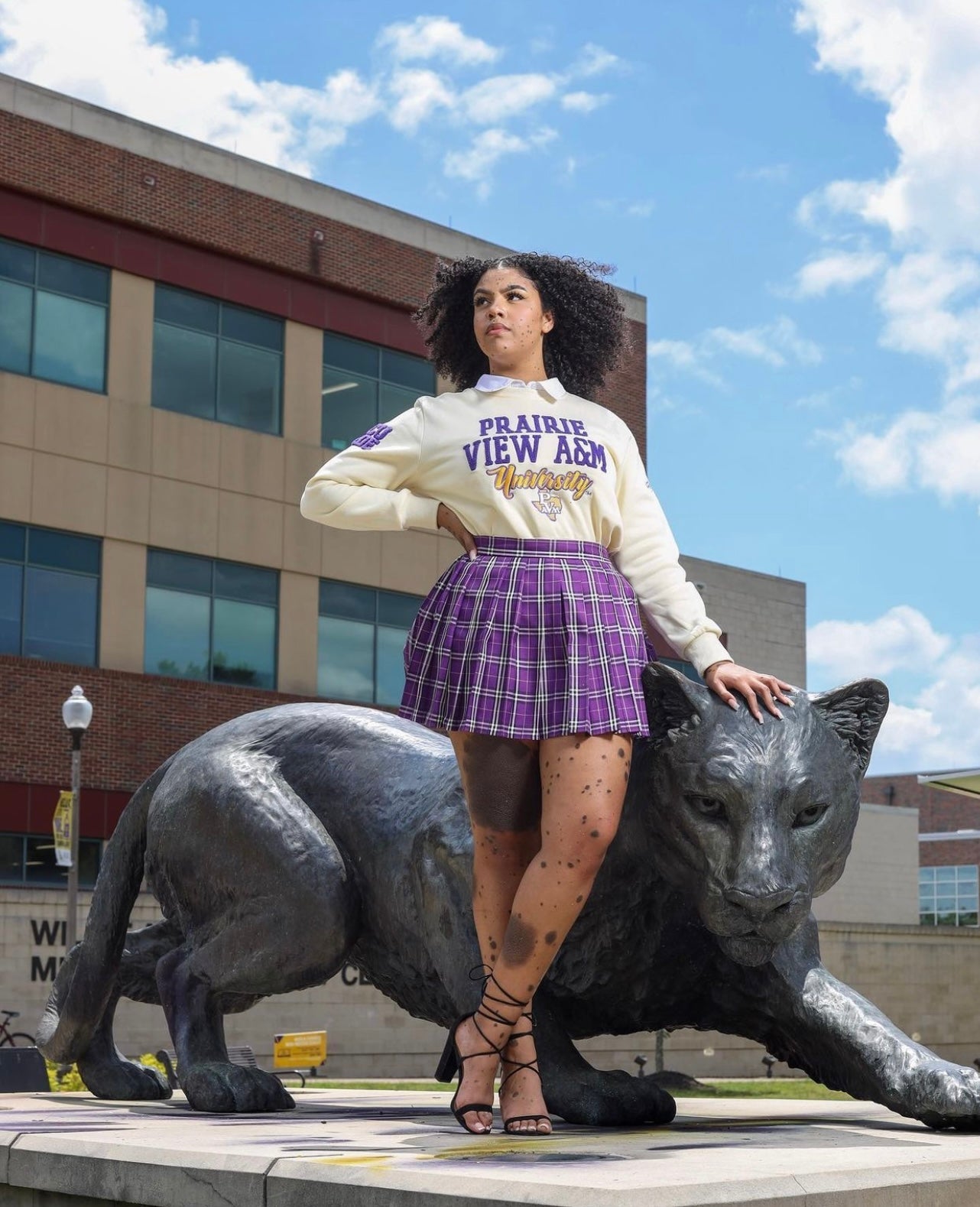 Prairie View A&M | Vintage CREAM (Chenille) | Unisex Sweatshirt